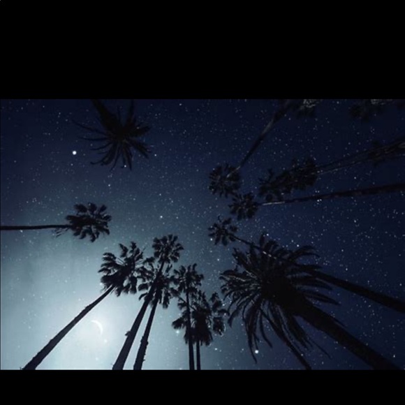 Meet your Posher, Amber - Picture 1 of 1